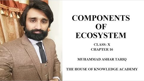 Components of an ecosystem | Chapter # 16 | Biology Class 10th