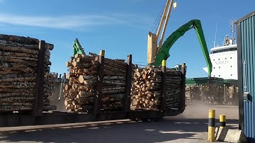 Sennebogen Handling Logs
