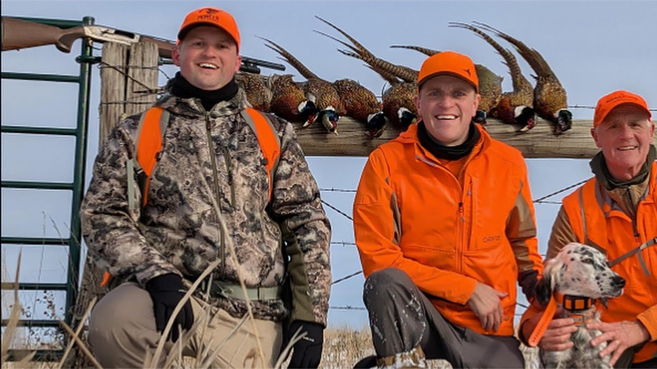 South Dakota Pheasant Hunting - 11/10/2025