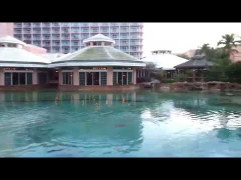 Stingray Pool at Atlantis Resort in the Bahamas