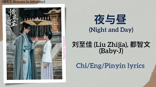 夜与昼 (Night and Day) - 刘至佳 (Liu Zhijia), 都智文 (Baby·J)《惜花芷 Blossoms in Adversity》Chi/Eng/Pinyin lyrics
