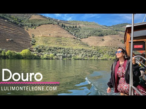 Passeio de barco no Rio Douro!