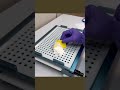 "How YOUR pills are born in compounding lab! 🔬🏥 #PillProduction #Compounding #PharmaTech"