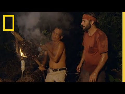 Raiding a Killer Bee Hive | Primal Survivor: Escape the Amazon