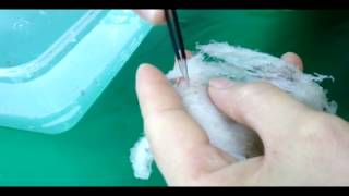 纯手工洗燕 无添加任何化学药物