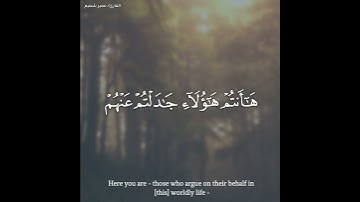 عمير شميم - سورة النساء || ﴿يستخفون من الناس ولا يستخفون من الله ﴾