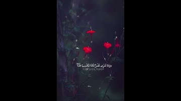 تلاوة رائعة للقارئ إسلام صبحي 🥺 #تدبر_آية #قرآن #تلاوات #تلاوة_خاشعة #quran #اسلام_صبحي #islam