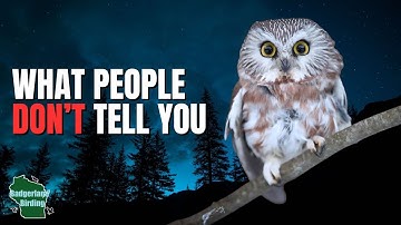 The TRUTH About How to Find Owls in the Wild!
