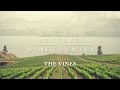 Ventures in wine country  episode 1 the vines