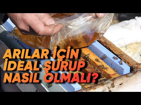 Arılar İçin İdeal