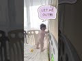 바깥세상이 궁금한 7개월아기 MOM, LET ME OUT!! 😱😂 #shorts