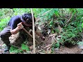 Survival Alone in the Rainforest |EP.66- Eating snake & Crab soup