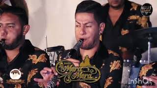 El pajarillo (en vivo) Banda La Mera Mera De Villanueva Zac.