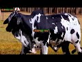 LASINYARI SEKI LAIZER Channel 