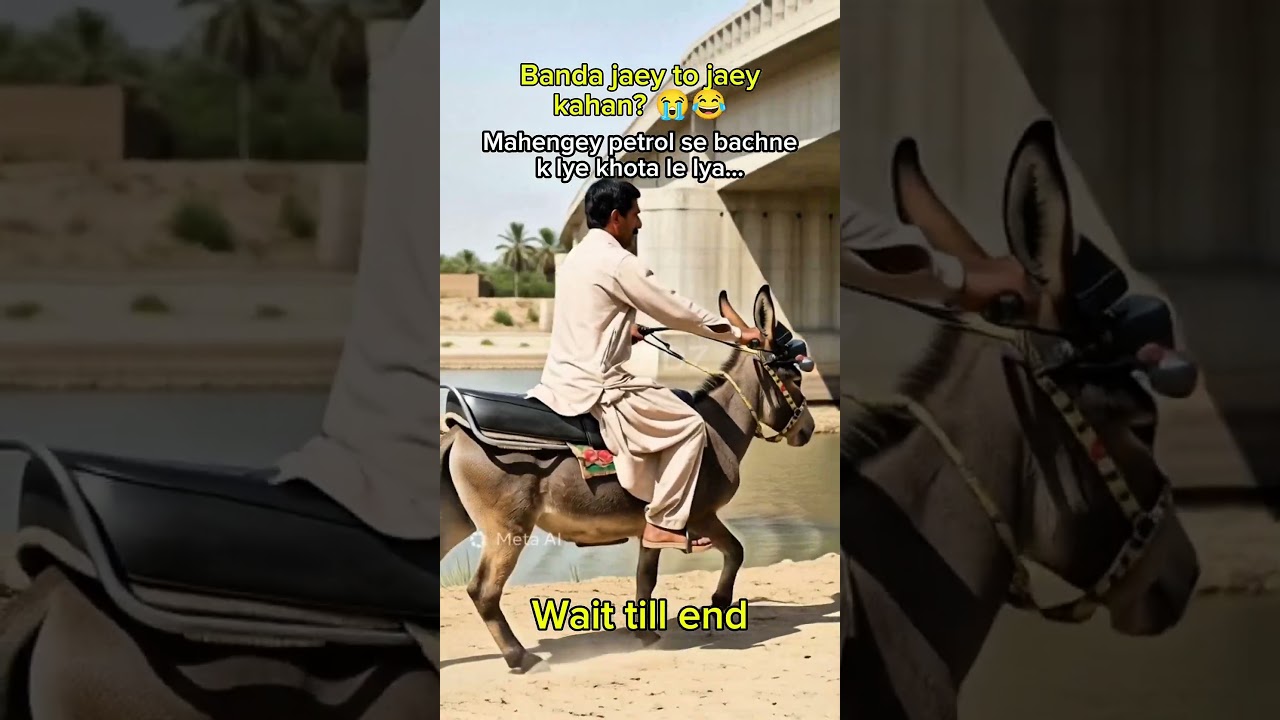 Banda jaey to jaey kahan?