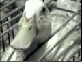 フォアグラ: 拷問されるカモ (1/2)