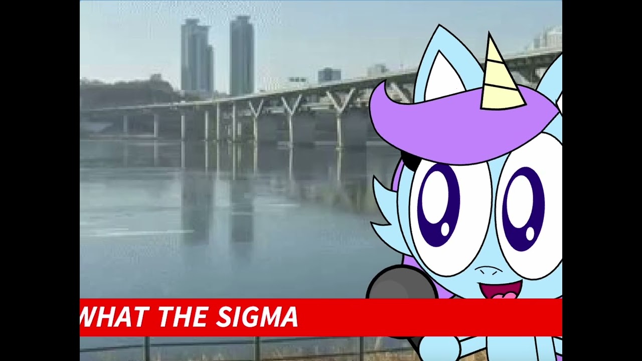 THERES A CAT WALKING ON THE HAN RIVER?!