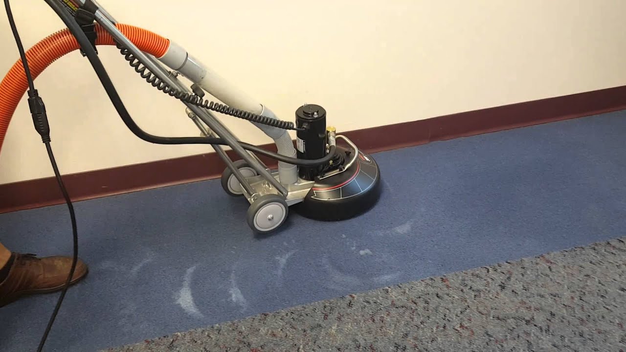 Carpet Cleaning - Professional Green Cleaners - 813-862-9595 - YouTube