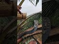 8 jam proses,,, disini hanya 13 detik