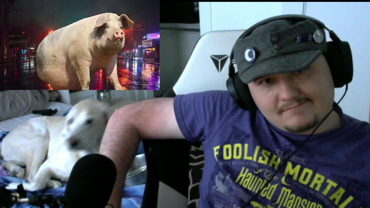 Joe's 4K Subscriber Reaction: Lazerpig: A perfectly sober discussion on WW1 French Tanks