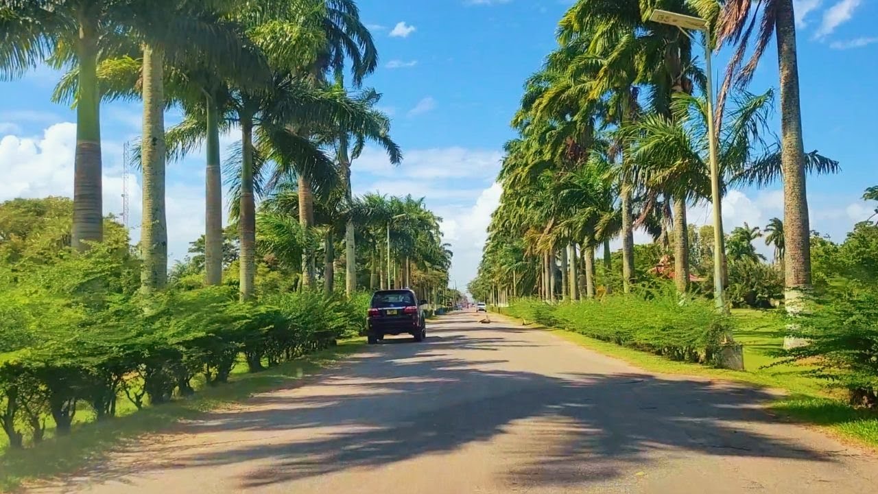 Homestretch Avenue Botanical Gardens Durban Street GUYANA 2023 Homestretch Avenue Botanical Gardens Durban Street GUYANA 2023