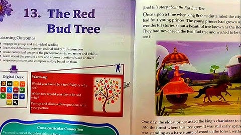 The Red Bud Tree