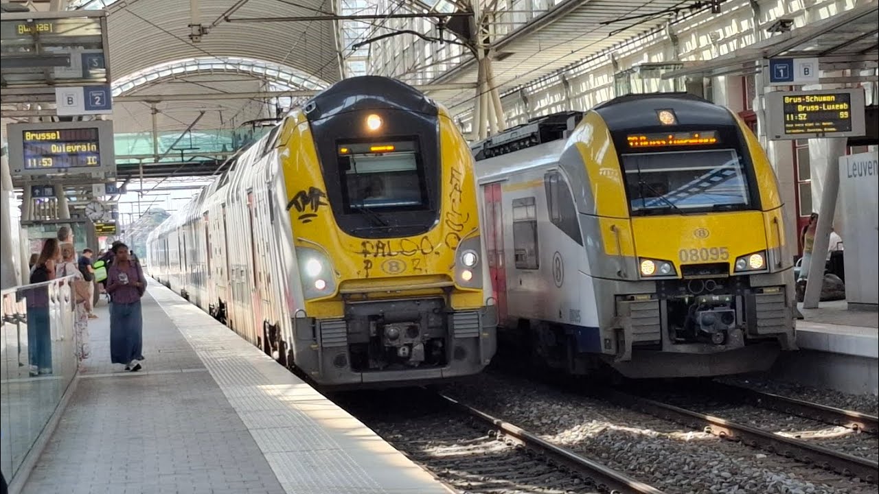 treinen in station leuven #train