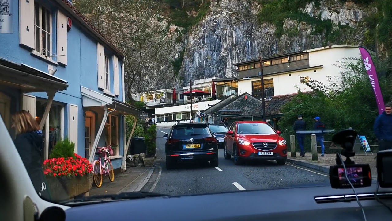 Cheddar driving through 😁 YouTube