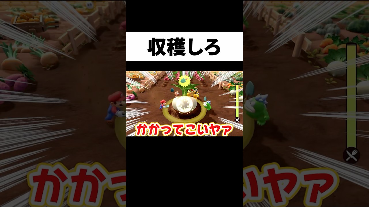 近隣に迷惑かけないように人参収穫するゲーム実況者 #からつけあっきぃ #あっきぃ #ゲーム実況 #スーパーマリオパーティジャンボリー 近隣に迷惑かけないように人参収穫するゲーム実況者 #からつけあっきぃ #あっきぃ #ゲーム実況 #スーパーマリオパーティジャンボリー