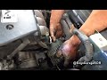 How to Replace the Alternator on a 2008 Honda Element!