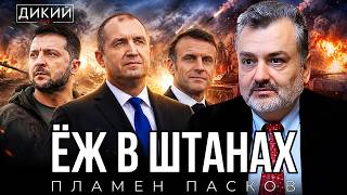 Акт слабости, или Просто позор! Пламен Пасков | Дикий LIVE