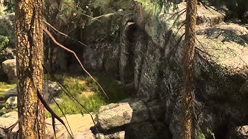 CryEngine 3 - Woodland Demo Graphics Showreel 2015