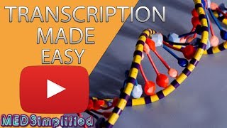 Transcription Made Easy From DNA to RNA (2019)