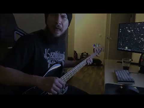 反光镜 (Reflector) -  溶化 (bass cover)