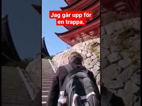 Video: Swede Toerisme