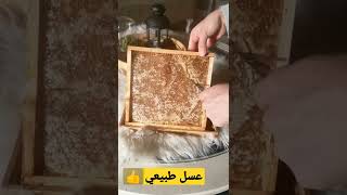 #عسل #طبيعي honey#, #العسل,Honey comb. #Honey#