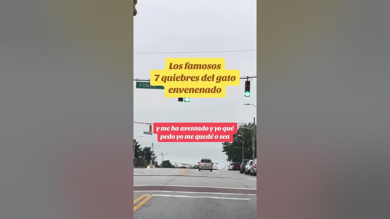 Los 7 Quiebres Del Gato Envenenado De Las Catrachas Explicando cómo se hace los 7 quiebres del gato envenenado que tanto