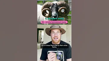 The Gayest Animals Found In Nature Shorts 