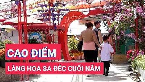 Làng hoa Sa Đéc vào mùa cao điểm đón khách tham quan dịp Tết