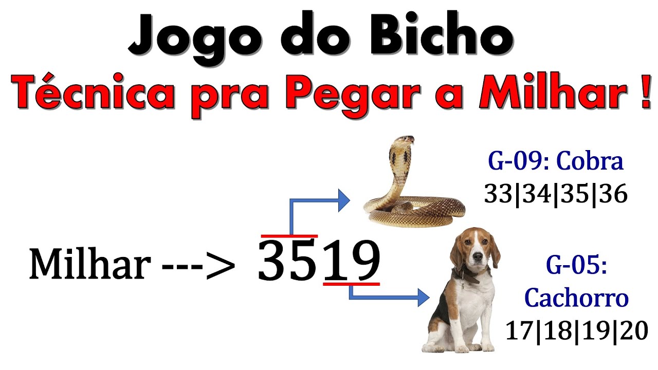 joguinho do dinheiro