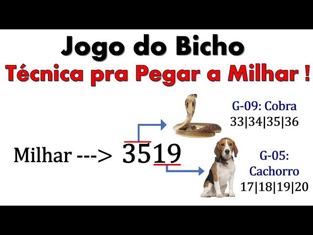 COBRA JOGO DO BICHO em 2023