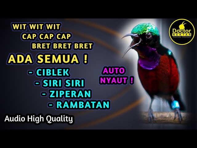 BONGKAR MATERI ! KONIN GACOR FULL ISIAN TEMBAKAN ZIPERAN, CIBLEK, SIRI SIRI COCOK BUAT MASTERAN class=