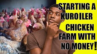 How To START A Kuroiler Chicken Farm With Little Or No Money#poultry #poultryfarming (#22)