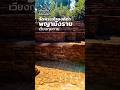 เดินเที่ยวเชียงใหม่ วัดพระเจ้าองค์ดำ-พญามังราย เวียงกุมกาม Ancient ruins #shorts #chiangmai