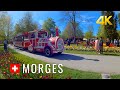 Morges switzerland morges tulip festival a real jewel in the lake geneva region switzerland 4k