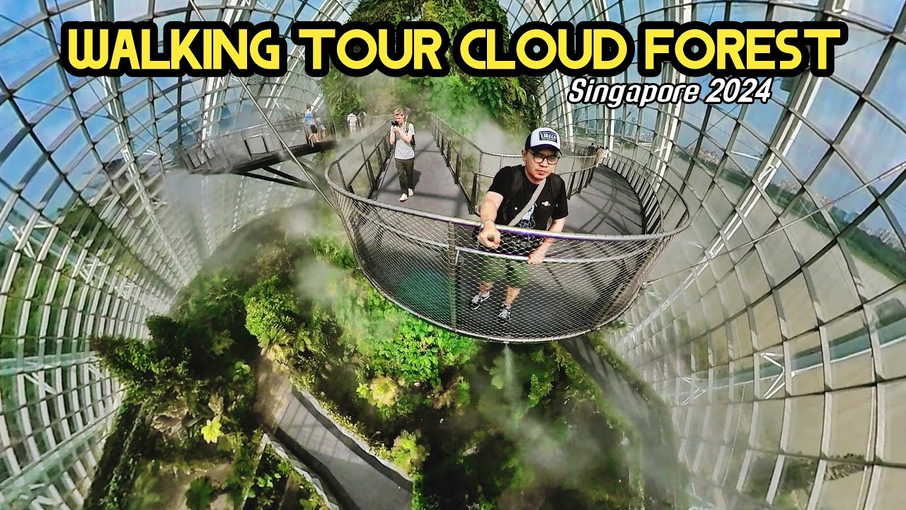 Walking Tour Cloud Forest Singapore 2024 ‼️