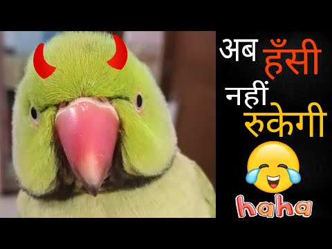 Rok nahi paenge aap bhi apni hasi | Mithudi Laugh 😂