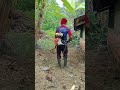 "Pemotongan Rumput Terliar di Kebun – Hasilnya Bikin Kaget!"#58