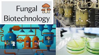 Fungal Biotechnology Explained in 7 Minutes