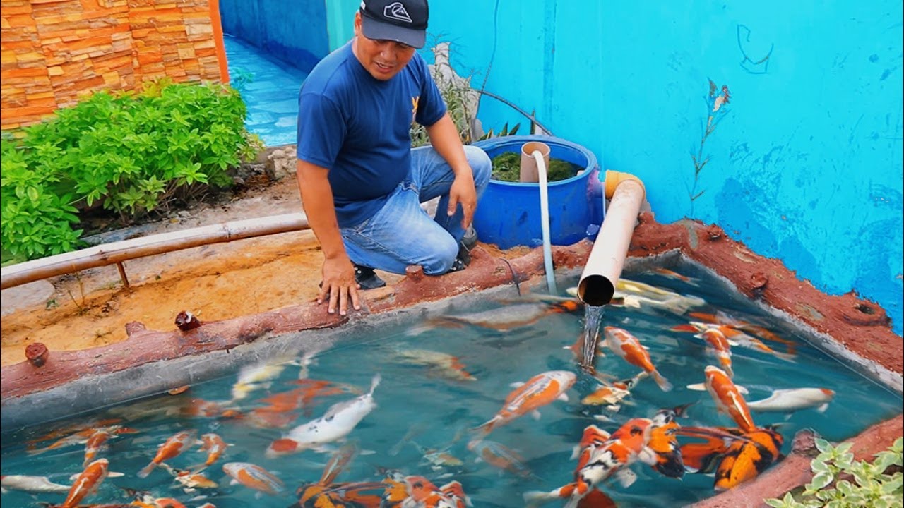 This is what my fish farm daily routine looks like